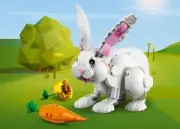 model-name