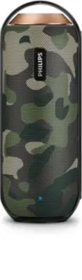 Philips BT6000C/37