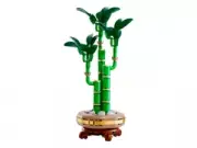 Lego 10344 Lucky Bamboo (Счастливый бамбук)