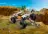 Lego 60387 4x4 Off-Roader Adventures (Внедорожные приключения 4x4)
