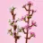 Lego 40725 Cherry Blossoms (Цветущая вишня)