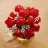 Lego 10328 Bouquet of Roses (Букета роз)